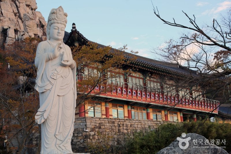 錦山菩提庵（南海） (28/32)