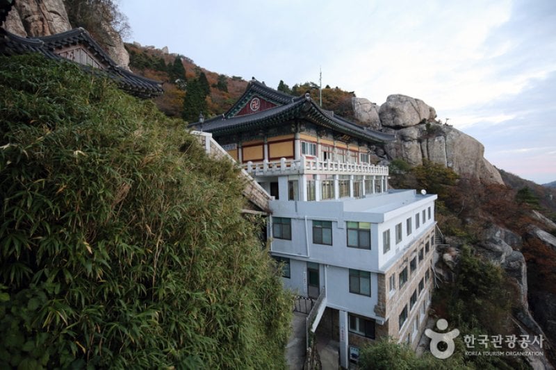 錦山菩提庵（南海） (30/32)