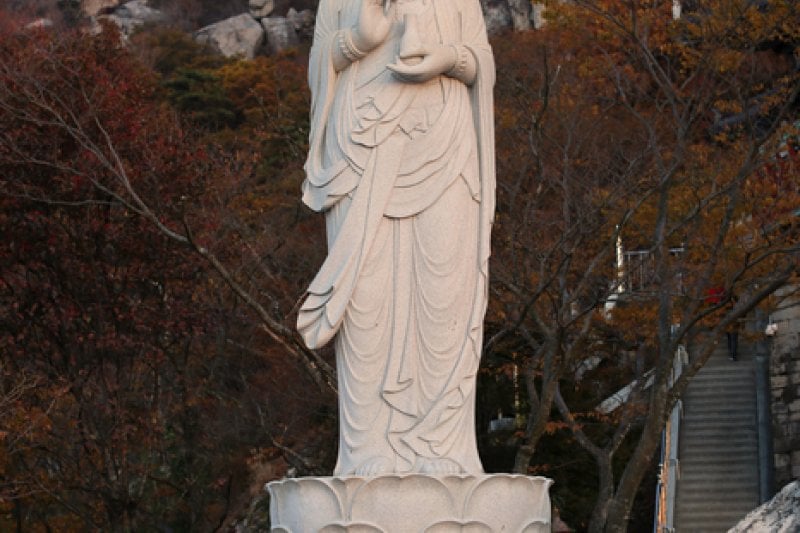 錦山菩提庵（南海） (32/32)