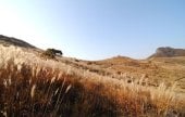 黄梅山郡立公園