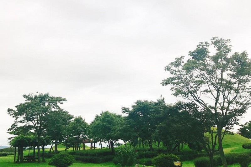 国立羅州博物館 (3/6)