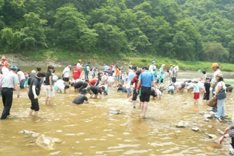 平昌コンドゥレ祭り (6/6)