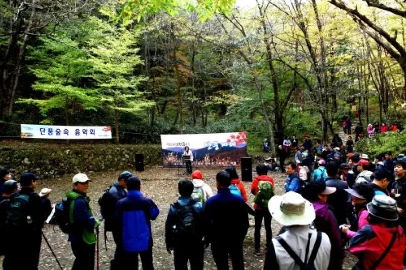 智異山ピア谷紅葉祭り (1/3)