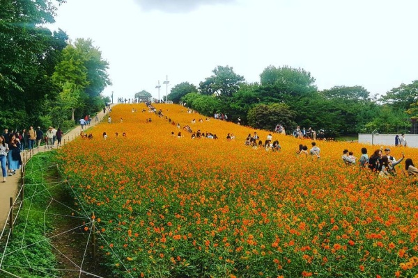 1万ウォンで楽しむソウル観光