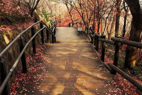 都心でのんびり楽しむ秋の紅葉ベストスポット