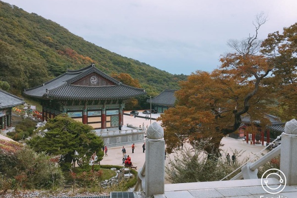 10月 : 赤く染まった仁川 思い出に浸る秋