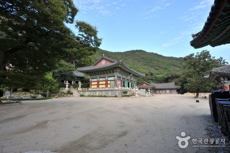 席毛島 (11/25)