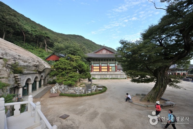 席毛島 (15/25)