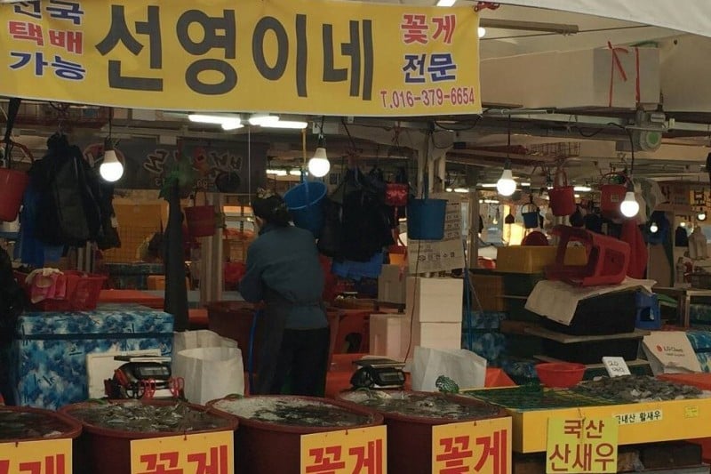 蘇来浦口総合魚市場 (4/14)