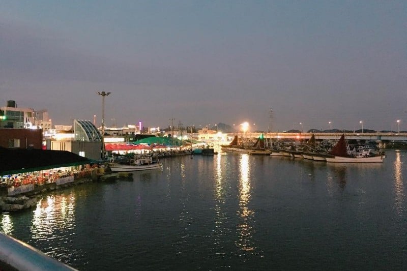 蘇来浦口総合魚市場 (8/14)