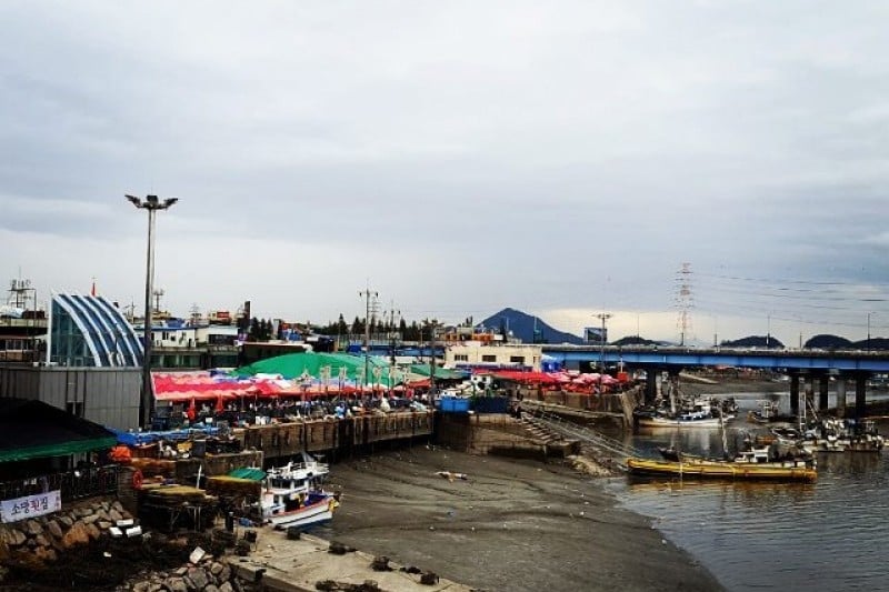 蘇来浦口総合魚市場 (10/14)