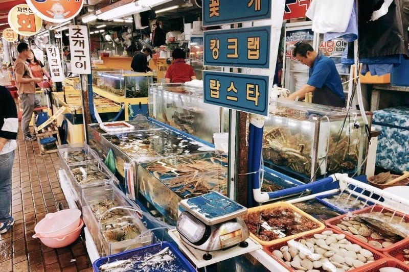 蘇来浦口総合魚市場 (11/14)