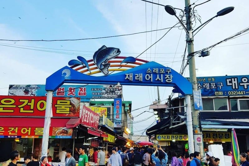 蘇来浦口総合魚市場 (13/14)