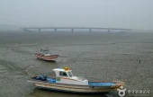 信島