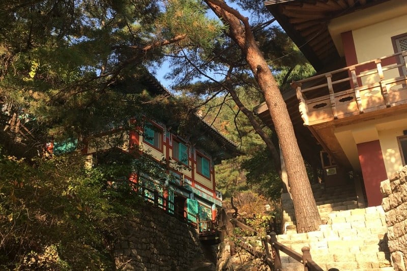 金仙寺テンプルステイ (1/5)