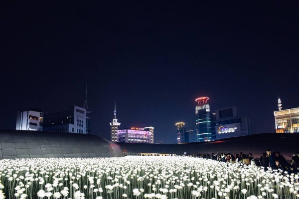 [韓国旅行情報]ソウル近郊で開かれるロマンチックなイルミネーションイベント