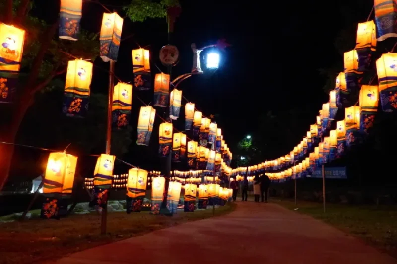 井邑詞文化祭り (4/5)