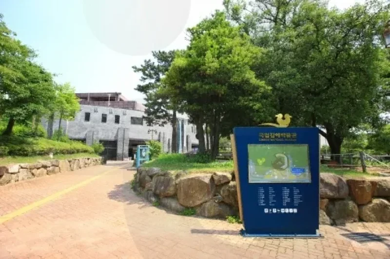 国立金海博物館迎春伝統文化行事2018 (2/3)