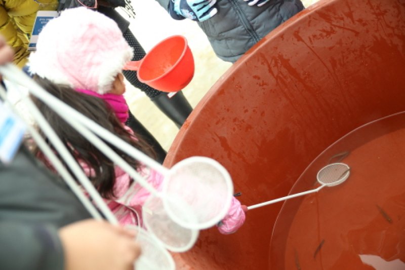水清き楊坪大自然ワカサギマス祭り2018（물맑은 양평 대자연 빙어송어축제 2018） (14/20)