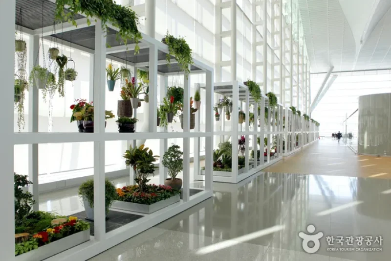仁川国際空港 第2旅客ターミナル (5/23)