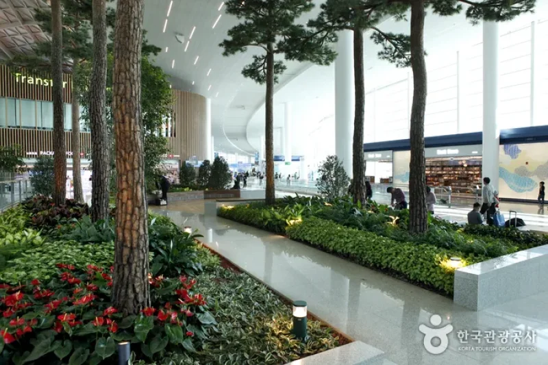仁川国際空港 第2旅客ターミナル (7/23)