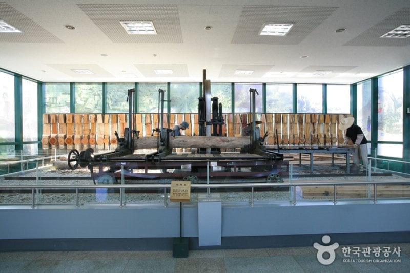 慶尚北道山林科学博物館（경상북도 산림과학박물관） (2/17)