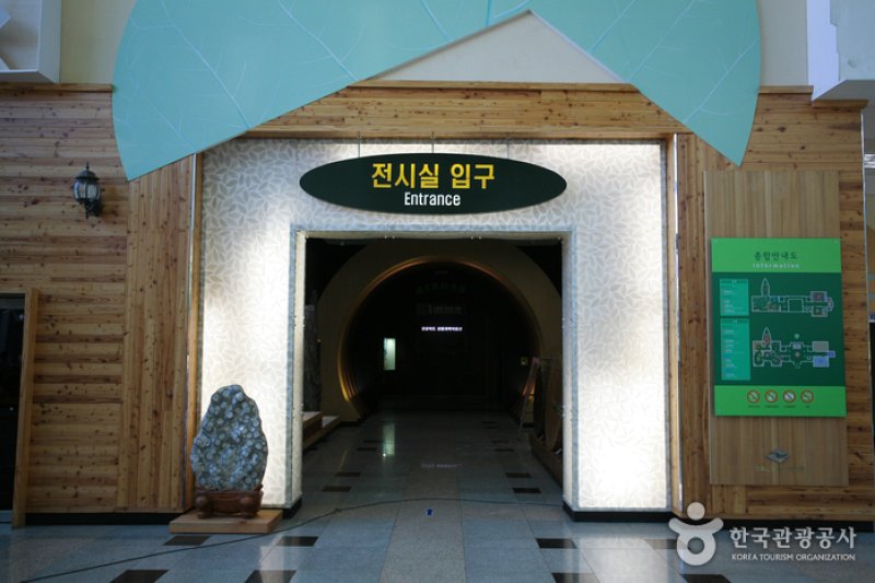 慶尚北道山林科学博物館（경상북도 산림과학박물관） (3/17)