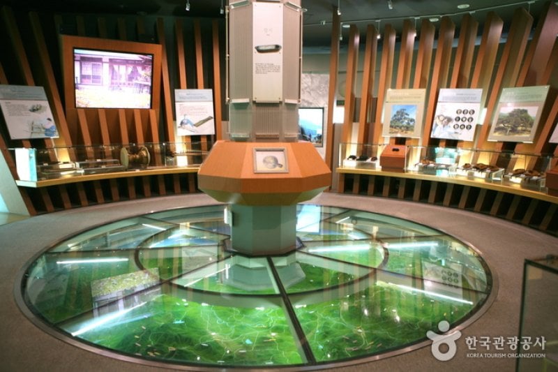 慶尚北道山林科学博物館（경상북도 산림과학박물관） (9/17)
