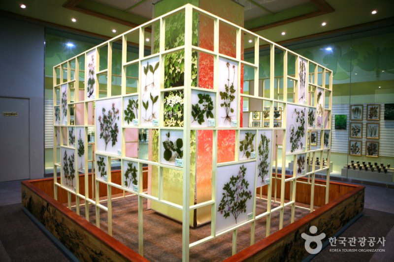 慶尚北道山林科学博物館（경상북도 산림과학박물관） (10/17)