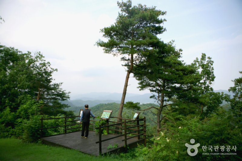 慶尚北道山林科学博物館（경상북도 산림과학박물관） (12/17)