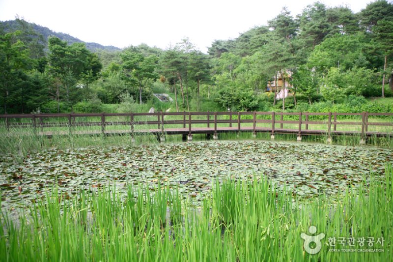 慶尚北道山林科学博物館（경상북도 산림과학박물관） (13/17)