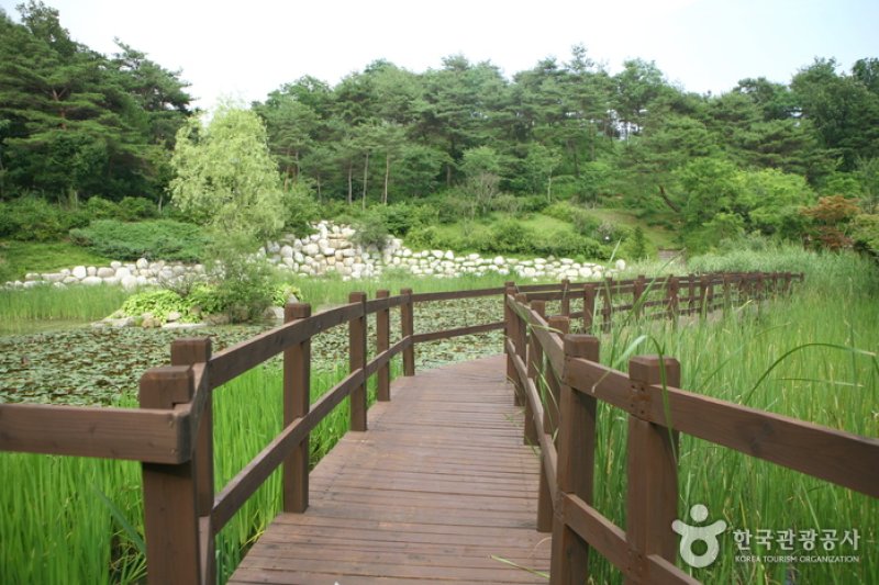 慶尚北道山林科学博物館（경상북도 산림과학박물관） (14/17)