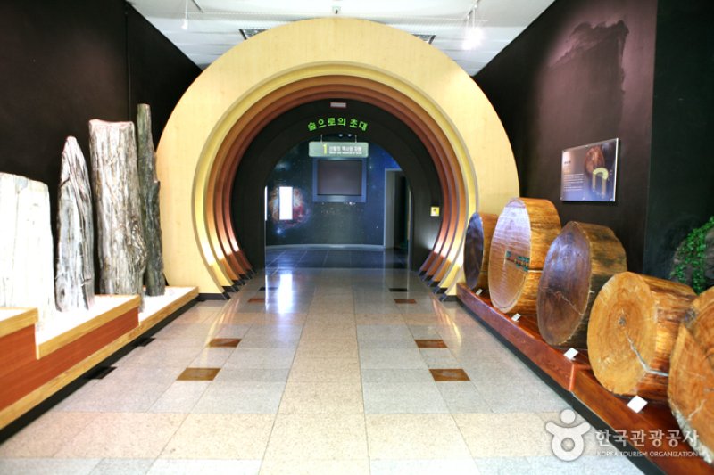 慶尚北道山林科学博物館（경상북도 산림과학박물관） (15/17)