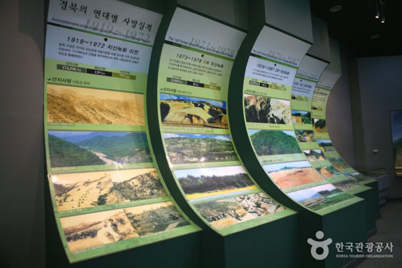 慶尚北道山林科学博物館（경상북도 산림과학박물관） (16/17)