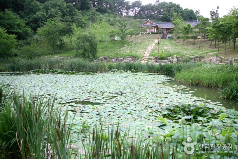 慶尚北道山林科学博物館（경상북도 산림과학박물관） (17/17)