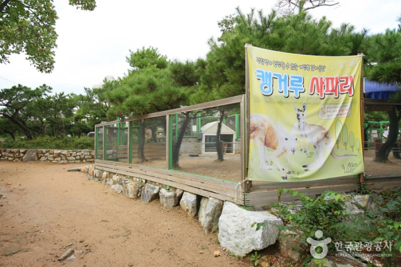 テーマ動物園ジュジュ（ZooZoo）（테마동물원 쥬쥬） (3/27)