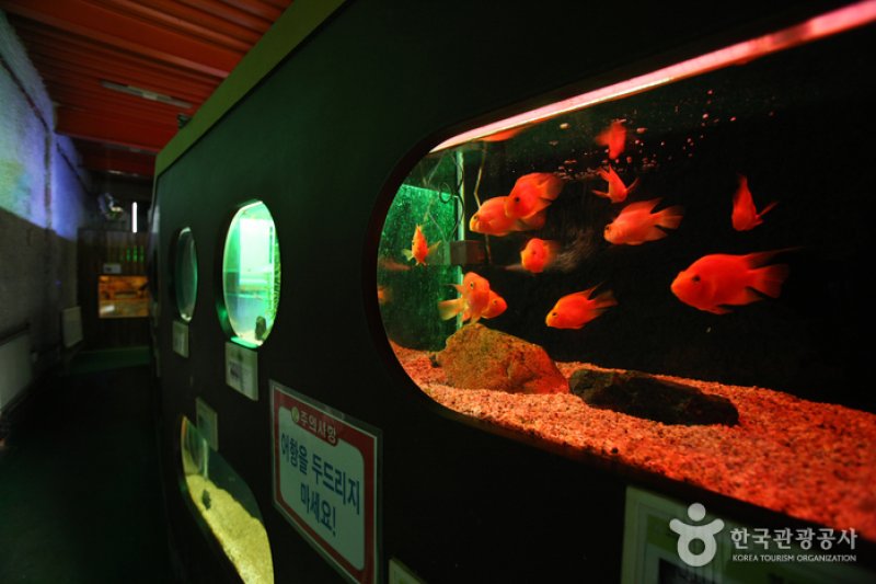 テーマ動物園ジュジュ（ZooZoo）（테마동물원 쥬쥬） (9/27)