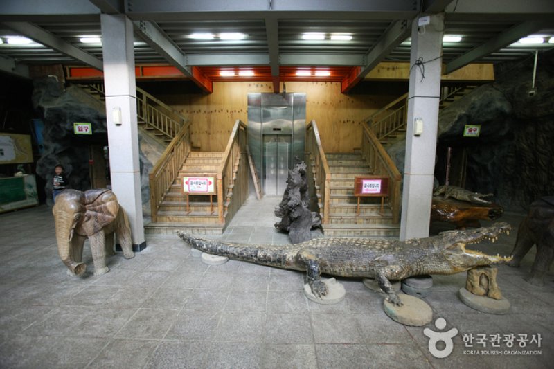テーマ動物園ジュジュ（ZooZoo）（테마동물원 쥬쥬） (10/27)