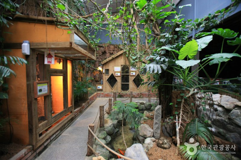 テーマ動物園ジュジュ（ZooZoo）（테마동물원 쥬쥬） (11/27)