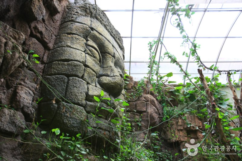 テーマ動物園ジュジュ（ZooZoo）（테마동물원 쥬쥬） (13/27)