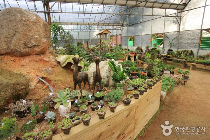 テーマ動物園ジュジュ（ZooZoo）（테마동물원 쥬쥬） (17/27)