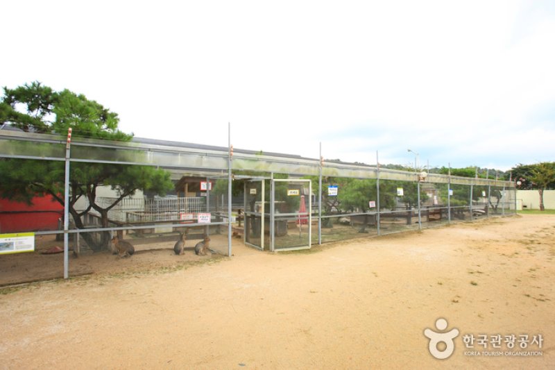 テーマ動物園ジュジュ（ZooZoo）（테마동물원 쥬쥬） (18/27)