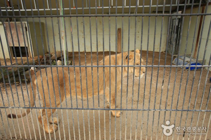 テーマ動物園ジュジュ（ZooZoo）（테마동물원 쥬쥬） (20/27)