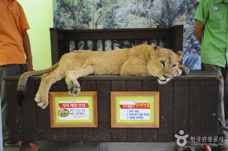 テーマ動物園ジュジュ（ZooZoo）（테마동물원 쥬쥬） (26/27)