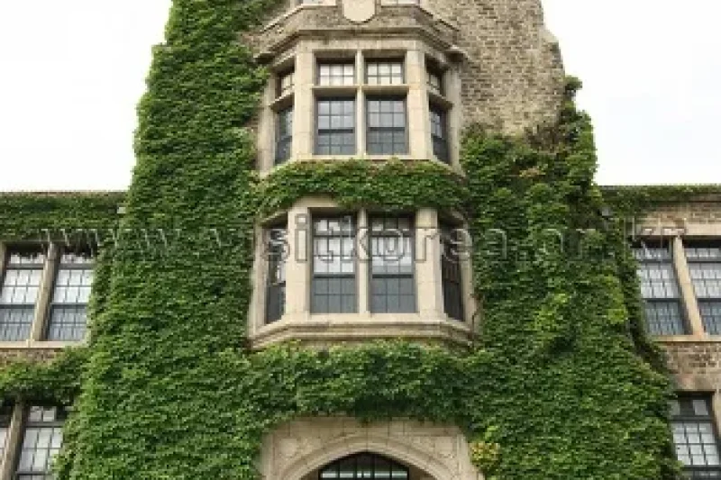 ソウル 延世大学校 アンダーウッド館（서울 연세대학교 언더우드관） (9/12)