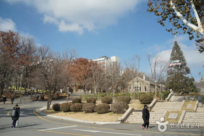 ソウル 延世大学校スティムソン館（서울 연세대학교 스팀슨관） (14/20)