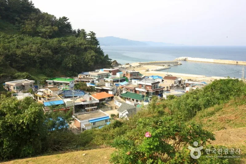 黄永祚記念館（황영조 기념관） (10/19)