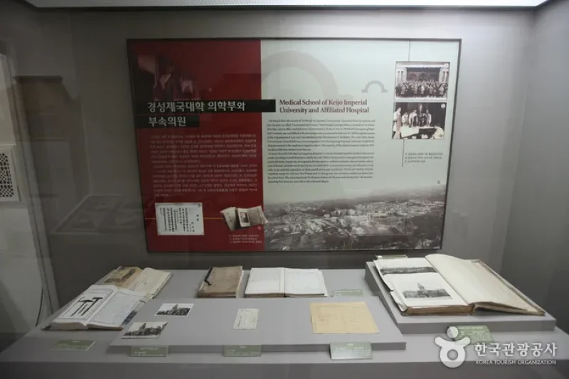 ソウル大学校病院 医学博物館（서울대학교병원 의학박물관） (3/7)