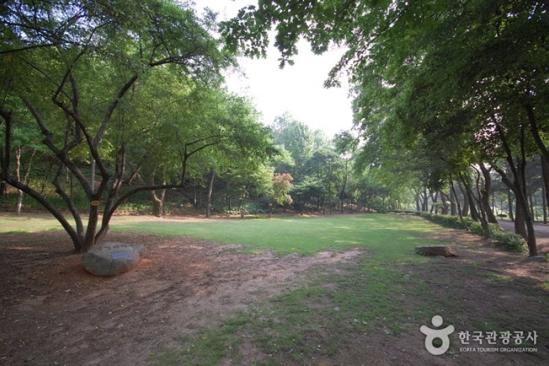 ソウル大学校農業生命科学大学樹木園 (5/6)