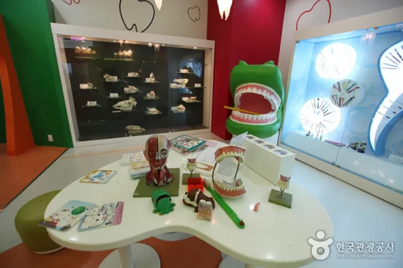ソウル大学校 歯医学博物館（서울대학교 치의학박물관） (2/18)
